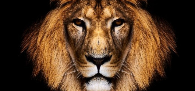 5 Alpha Male Traits That Will Bring Back Manliness
