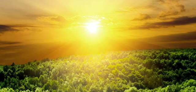 5 Powerful Vitamin D Benefits That Make It a “Super-Vitamin”