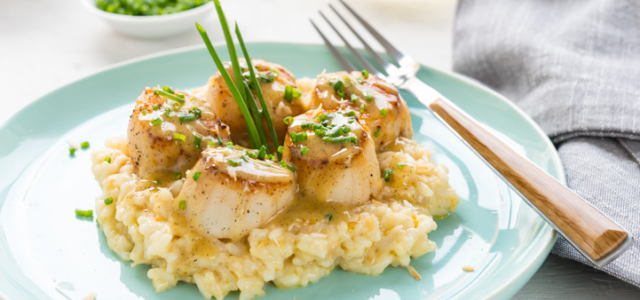 20 Quick and Easy Scallop Recipes