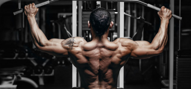 How to Create the Ultimate Muscle Building Workout