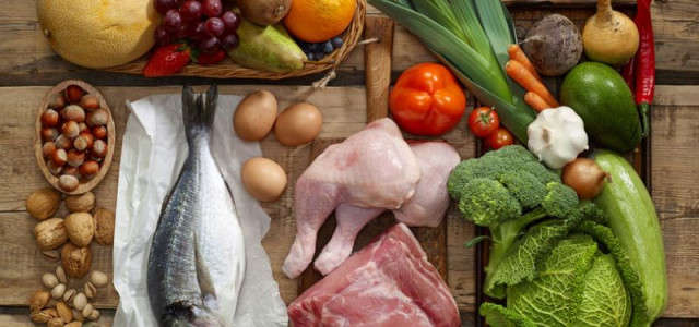 Animal Protein vs. Plant Protein: Which Is Best for Building Muscle?