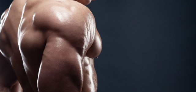 How to Get Bigger and Stronger Triceps in Just 30 Days
