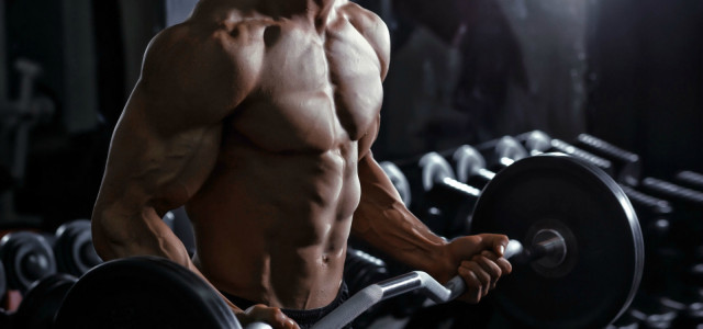 What Every Weightlifter Should Know About Glycogen
