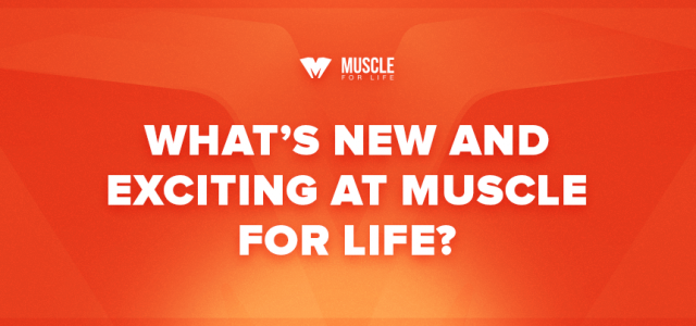 What’s New and Exciting in February?