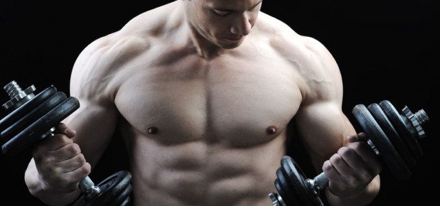 The “Hardgainer’s” Guide to Guaranteed Muscle Growth