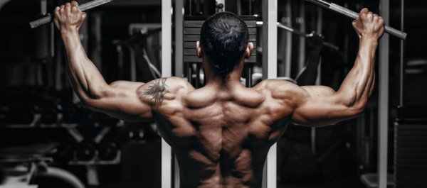 How to Create the Ultimate Muscle Building Workout