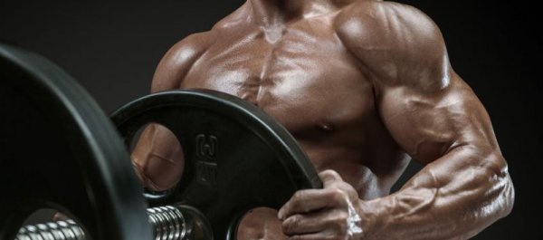 What 17 Studies Say About Increasing Your Testosterone Naturally