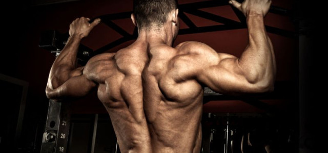 How to Get a Bigger and Stronger Back in Just 30 Days