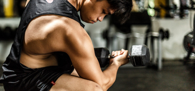 The Science of “Newbie Gains,” Explained