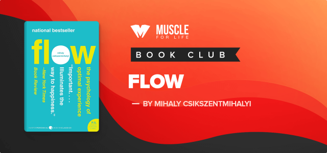 My Top 5 Takeaways from Flow by Mihaly Csikszentmihalyi