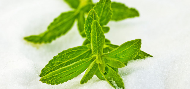 Use Stevia as a Zero-Calorie Sweetener with Benefits