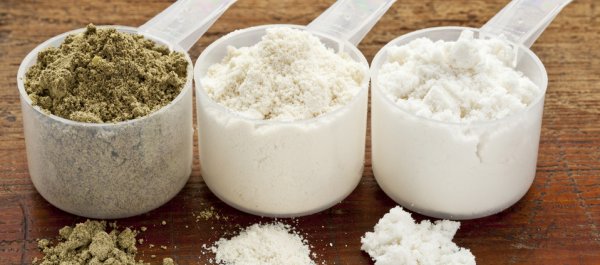 The Ultimate Guide to the Best Protein Powders: Whey, Casein, Egg, Soy, and More...