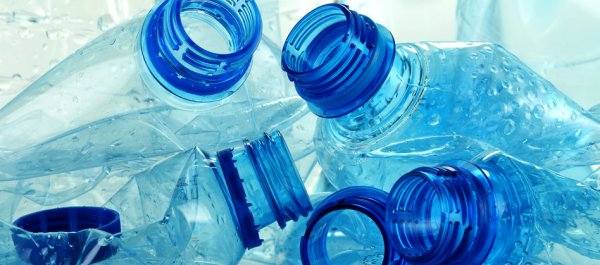 The Dangers of Bisphenol A and What to Do About It