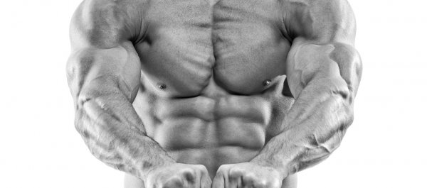 The Definitive Guide to Muscle Recovery