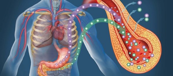 How Insulin Really Works: It Causes Fat Storage...But Doesn't Make You Fat