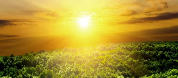 5 Powerful Vitamin D Benefits That Make It a 