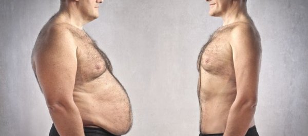 7 Graphs That Explain Why People Are Fatter Than Ever