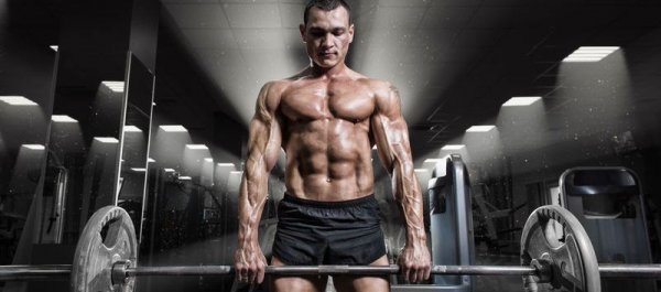 Are Compound Exercises Better Than Isolation Exercises?