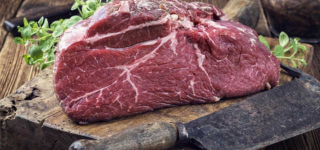 Should You Try the Carnivore Diet? What 74 Studies Say